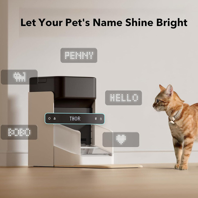 Rfid cat feeder outlet